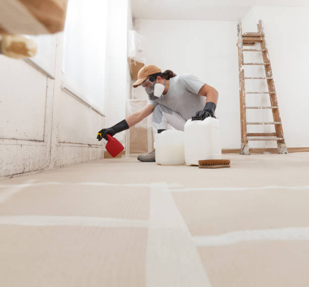 Forensic Mold Investigation in Kentwood, MI